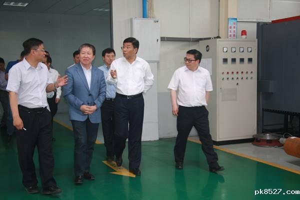 雷竞技raybet入口,强国制造领导小组